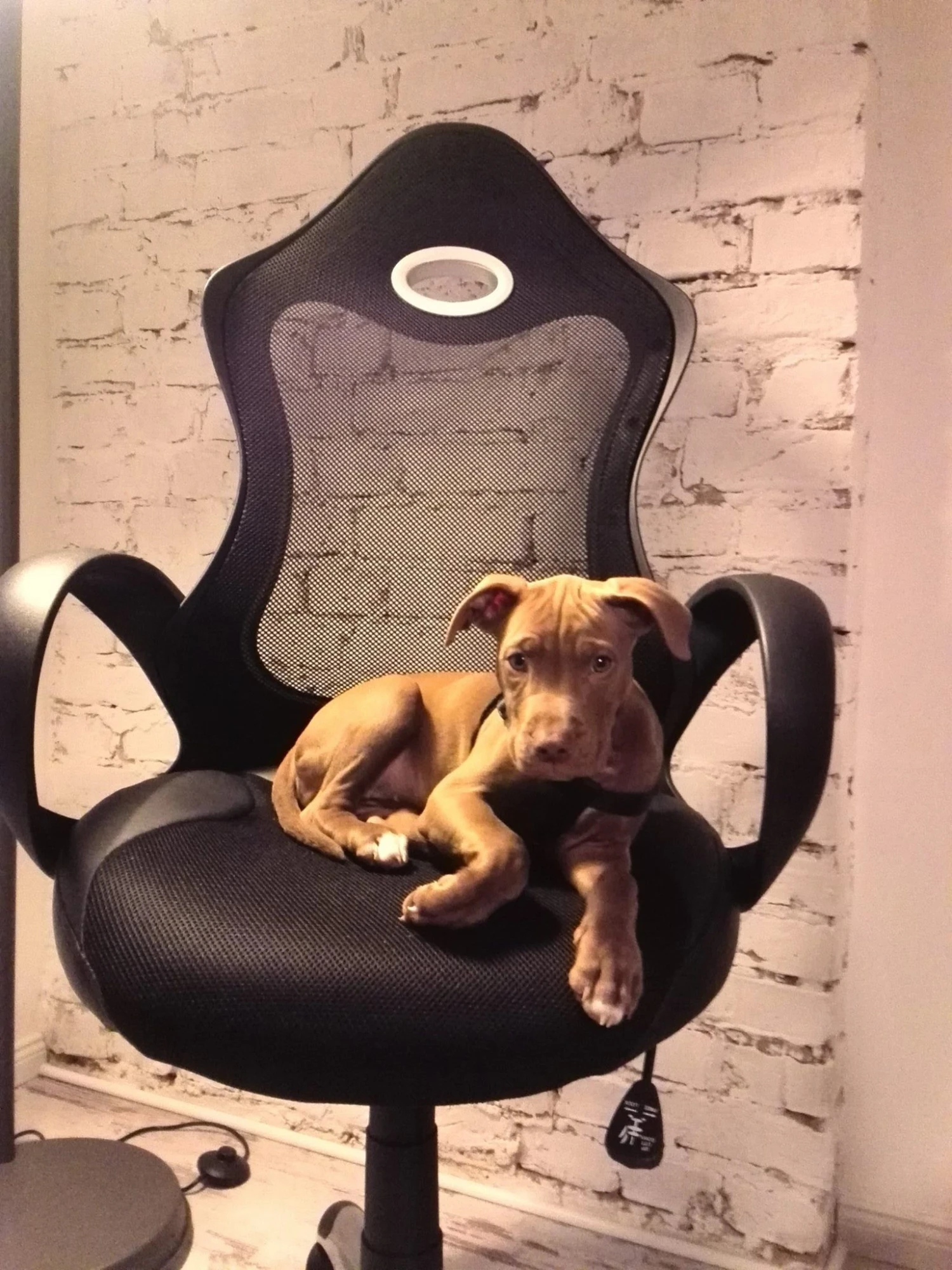 Bureaustoel Zwart IChair - Afbeelding 3