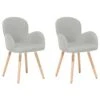 Eetkamerstoel Set Van 2 Stof Grijs BROOKVILLE