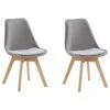Eetkamerstoel Set Van 2 Fluweel Grijs DAKOTA II