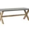 Tuintafel Beton Grijs 200 X 100 Cm OLBIA