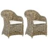 Tuinstoelen Set Van 2 Rotan Naturel SUSUA