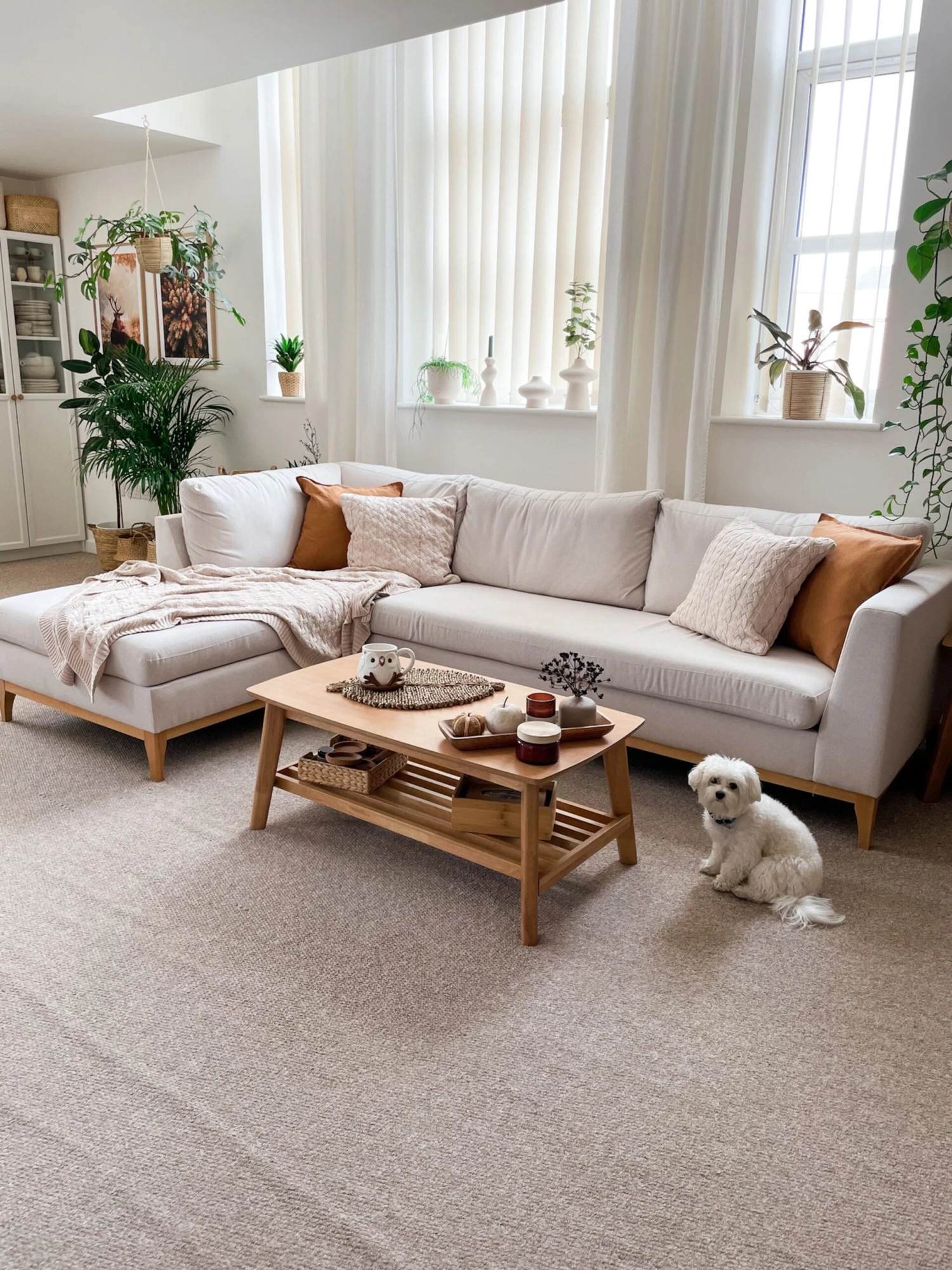 Salontafel Licht Hout TULARE - Afbeelding 4